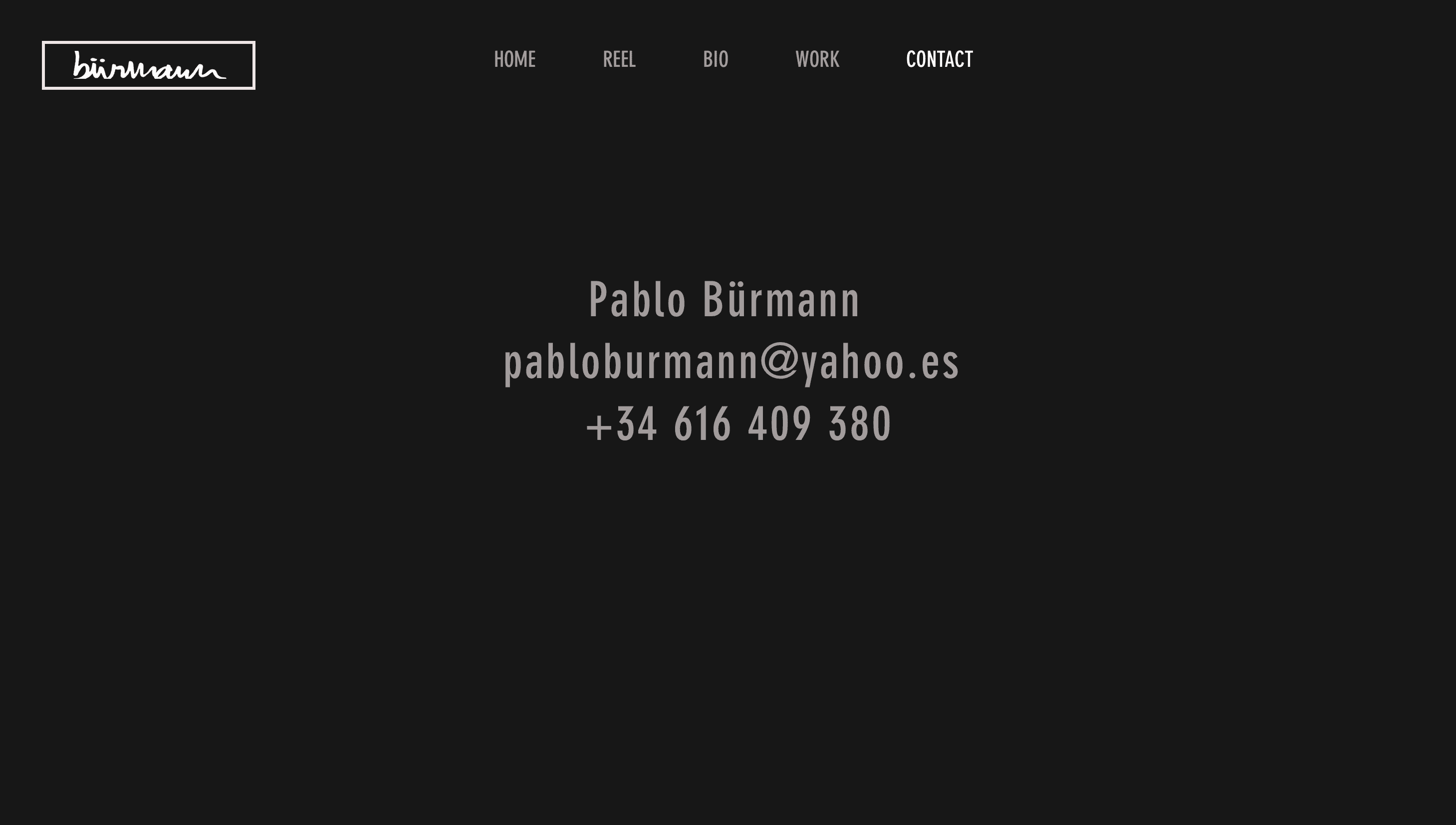 Web anterior de Pablo Bürmann